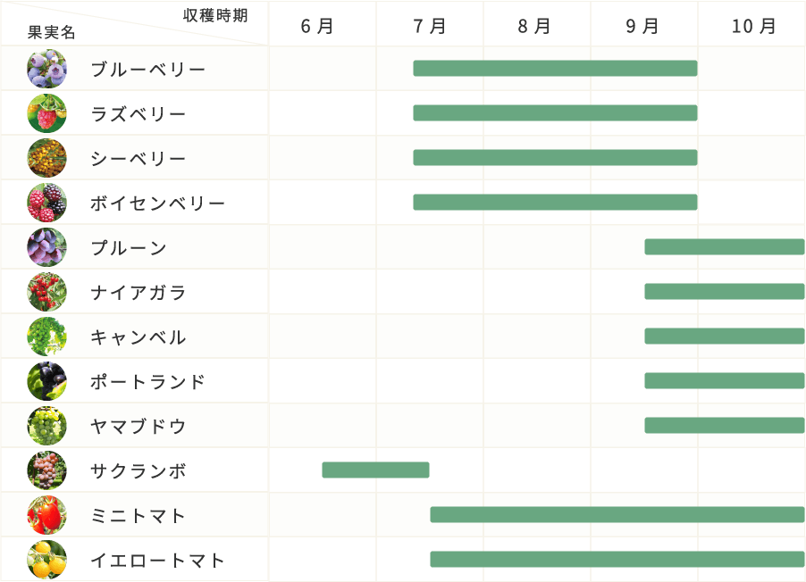 栽培時期